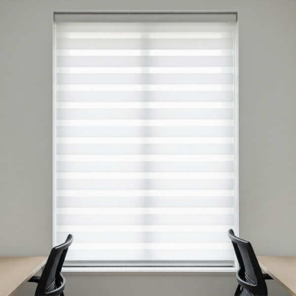 זברה מעקב בערה לבן